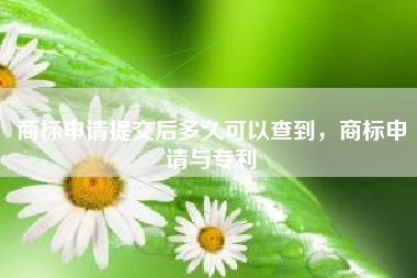 商标申请提交后多久可以查到，商标申请与专利