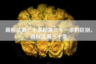 商标法第三十条和第三十一条的区别，商标法第三十条