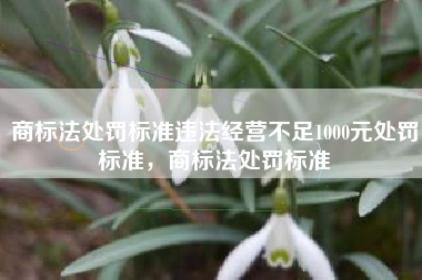 商标法处罚标准违法经营不足1000元处罚标准，商标法处罚标准