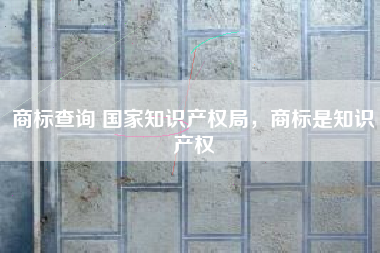 商标查询 国家知识产权局，商标是知识产权