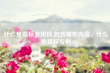 什么是商标专用权,包含哪些内容，什么是商标专利