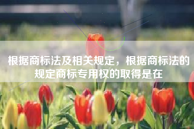 根据商标法及相关规定，根据商标法的规定商标专用权的取得是在