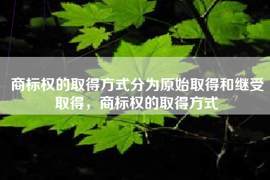 商标权的取得方式分为原始取得和继受取得，商标权的取得方式