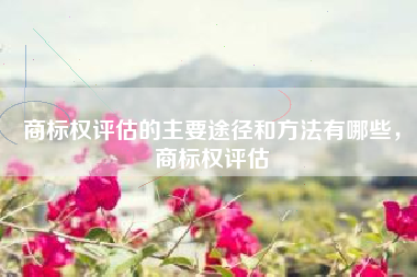 商标权评估的主要途径和方法有哪些，商标权评估