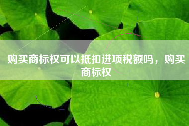 购买商标权可以抵扣进项税额吗，购买商标权