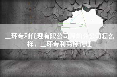 三环专利代理有限公司深圳分公司怎么样，三环专利商标代理