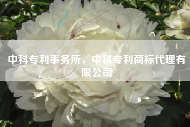 中科专利事务所，中科专利商标代理有限公司