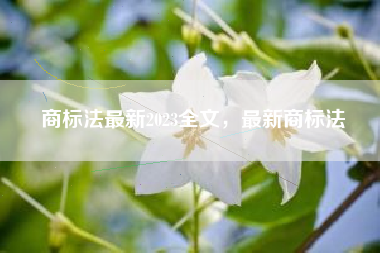 商标法最新2023全文，最新商标法