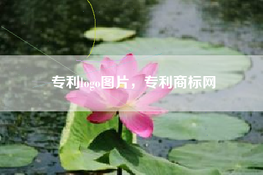 专利logo图片，专利商标网