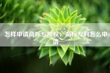 怎样申请商标专用权，商标专利怎么申请