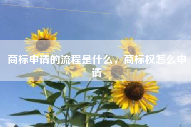 商标申请的流程是什么，商标权怎么申请