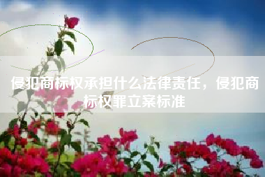 侵犯商标权承担什么法律责任，侵犯商标权罪立案标准