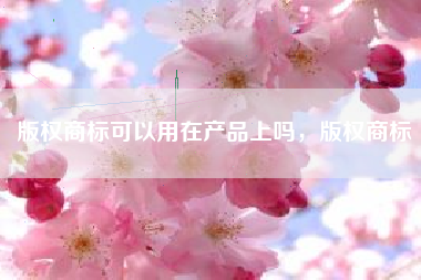 版权商标可以用在产品上吗，版权商标