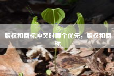 版权和商标冲突时哪个优先，版权和商标