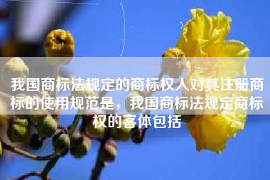 我国商标法规定的商标权人对其注册商标的使用规范是，我国商标法规定商标权的客体包括