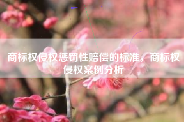 商标权侵权惩罚性赔偿的标准，商标权侵权案例分析