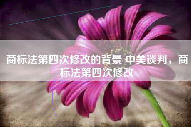 商标法第四次修改的背景 中美谈判，商标法第四次修改