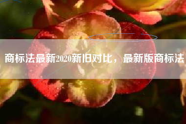 商标法最新2020新旧对比，最新版商标法