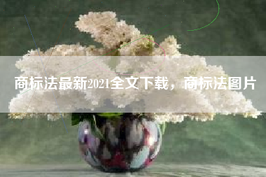 商标法最新2021全文下载，商标法图片