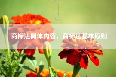 商标法具体内容，商标法基本原则