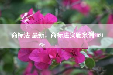 商标法 最新，商标法实施条例2021