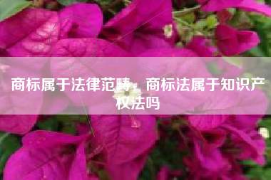 商标属于法律范畴，商标法属于知识产权法吗