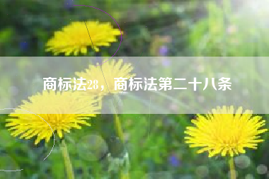 商标法28，商标法第二十八条