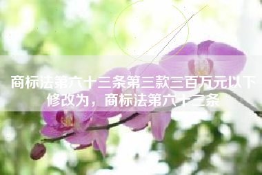 商标法第六十三条第三款三百万元以下修改为，商标法第六十三条
