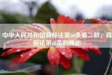 中华人民共和国商标法第60条第二款，商标法第60条的规定
