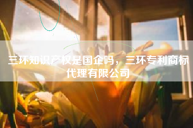 三环知识产权是国企吗，三环专利商标代理有限公司
