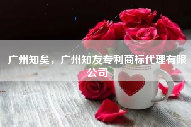 广州知矣，广州知友专利商标代理有限公司
