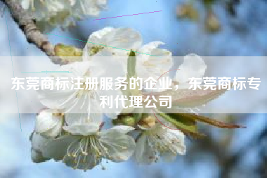 东莞商标注册服务的企业，东莞商标专利代理公司