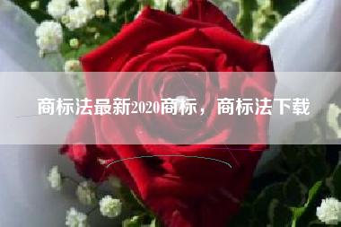 商标法最新2020商标，商标法下载