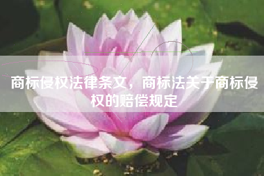 商标侵权法律条文，商标法关于商标侵权的赔偿规定