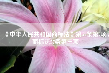 《中华人民共和国商标法》第57条第7项，商标法57条第三项
