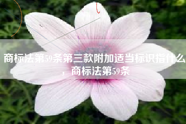 商标法第59条第三款附加适当标识指什么，商标法第59条