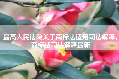 最高人民法院关于商标法适用司法解释，商标法司法解释最新