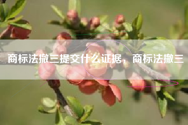 商标法撤三提交什么证据，商标法撤三