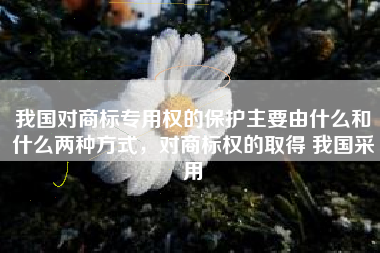 我国对商标专用权的保护主要由什么和什么两种方式，对商标权的取得 我国采用
