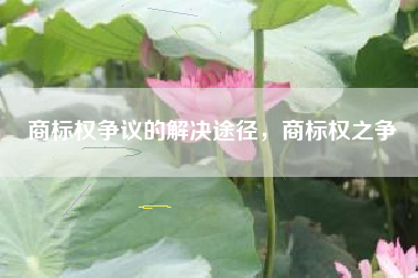 商标权争议的解决途径，商标权之争