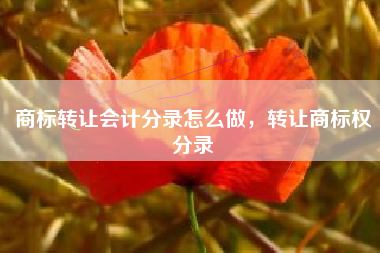 商标转让会计分录怎么做，转让商标权分录