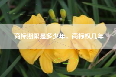 商标期限是多少年，商标权几年