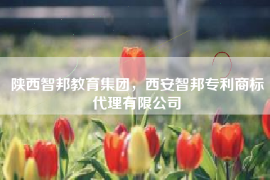 陕西智邦教育集团，西安智邦专利商标代理有限公司