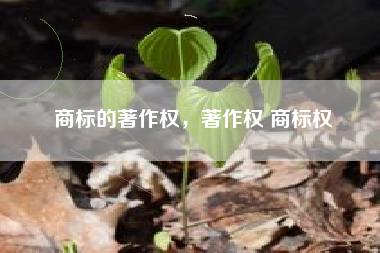 商标的著作权，著作权 商标权