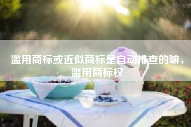 滥用商标或近似商标是自动排查的嘛，滥用商标权