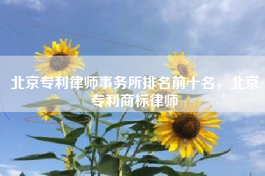 北京专利律师事务所排名前十名，北京专利商标律师