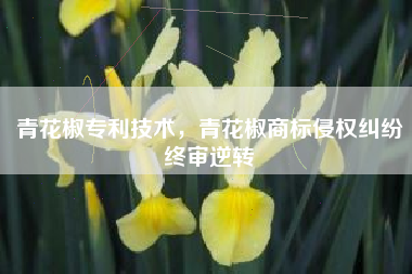 青花椒专利技术，青花椒商标侵权纠纷终审逆转