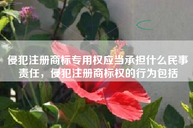 侵犯注册商标专用权应当承担什么民事责任，侵犯注册商标权的行为包括