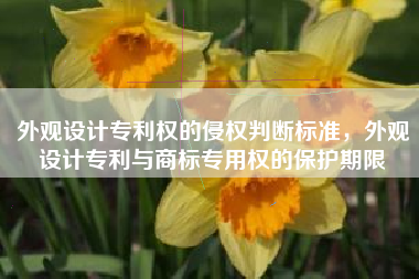外观设计专利权的侵权判断标准，外观设计专利与商标专用权的保护期限