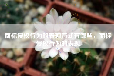 商标侵权行为的表现方式有哪些，商标侵权行为的表现